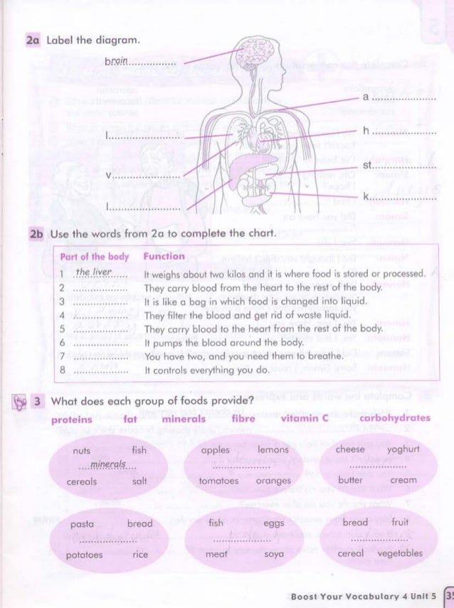 boost your vocabulary 2